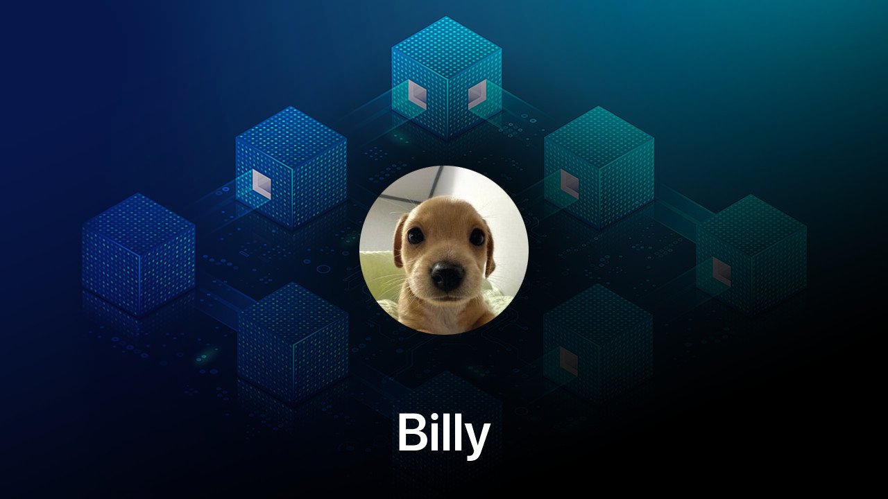 Where to buy Billy coin