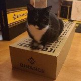 Where Buy Binance Cat