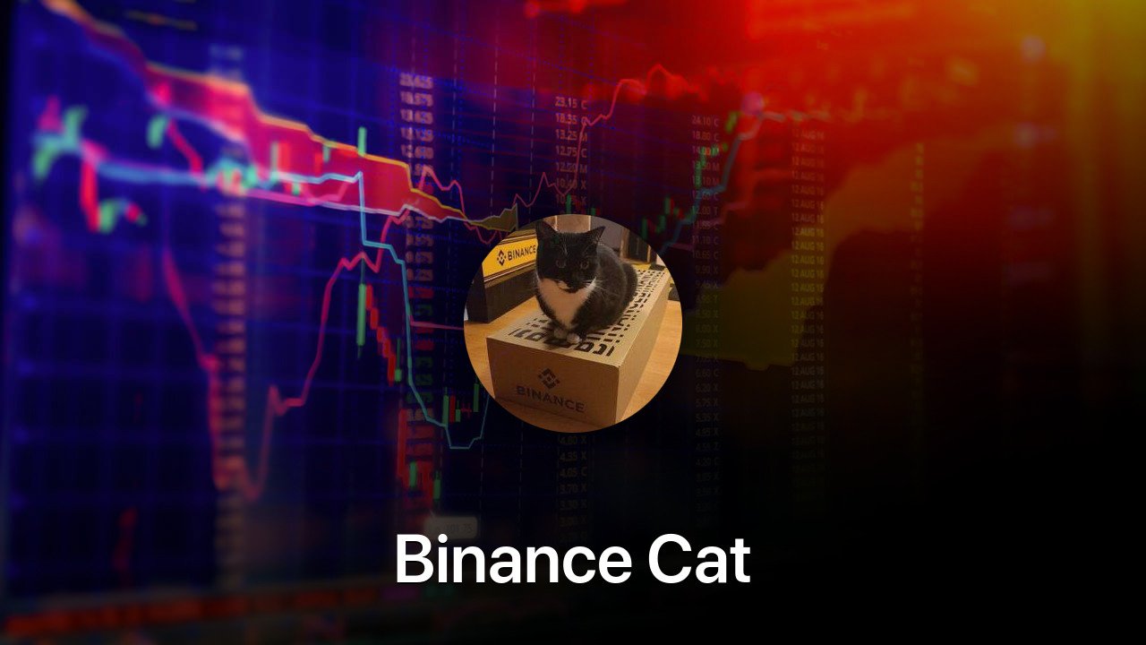 Where to buy Binance Cat coin