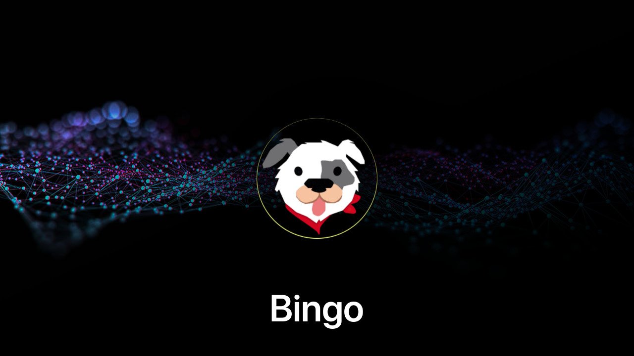 Where to buy Bingo coin