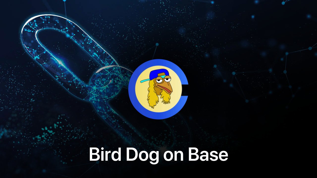 Where to buy Bird Dog on Base coin