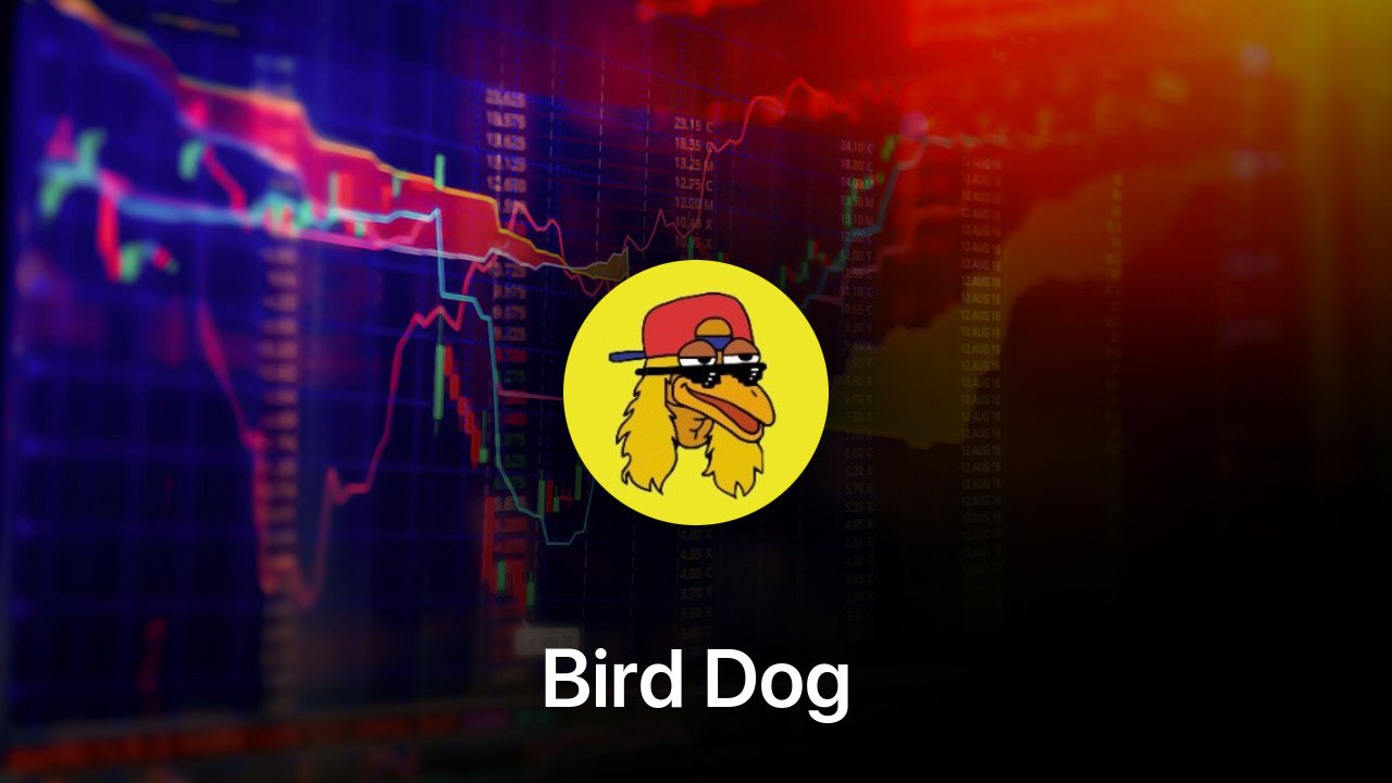 Where to buy Bird Dog coin