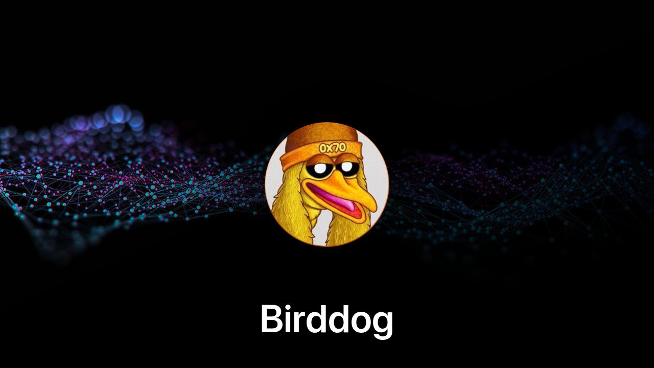 Where to buy Birddog coin