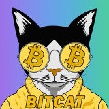 Where Buy Bitcat