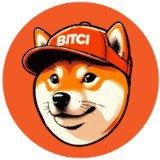 Where Buy Bitci DOGE