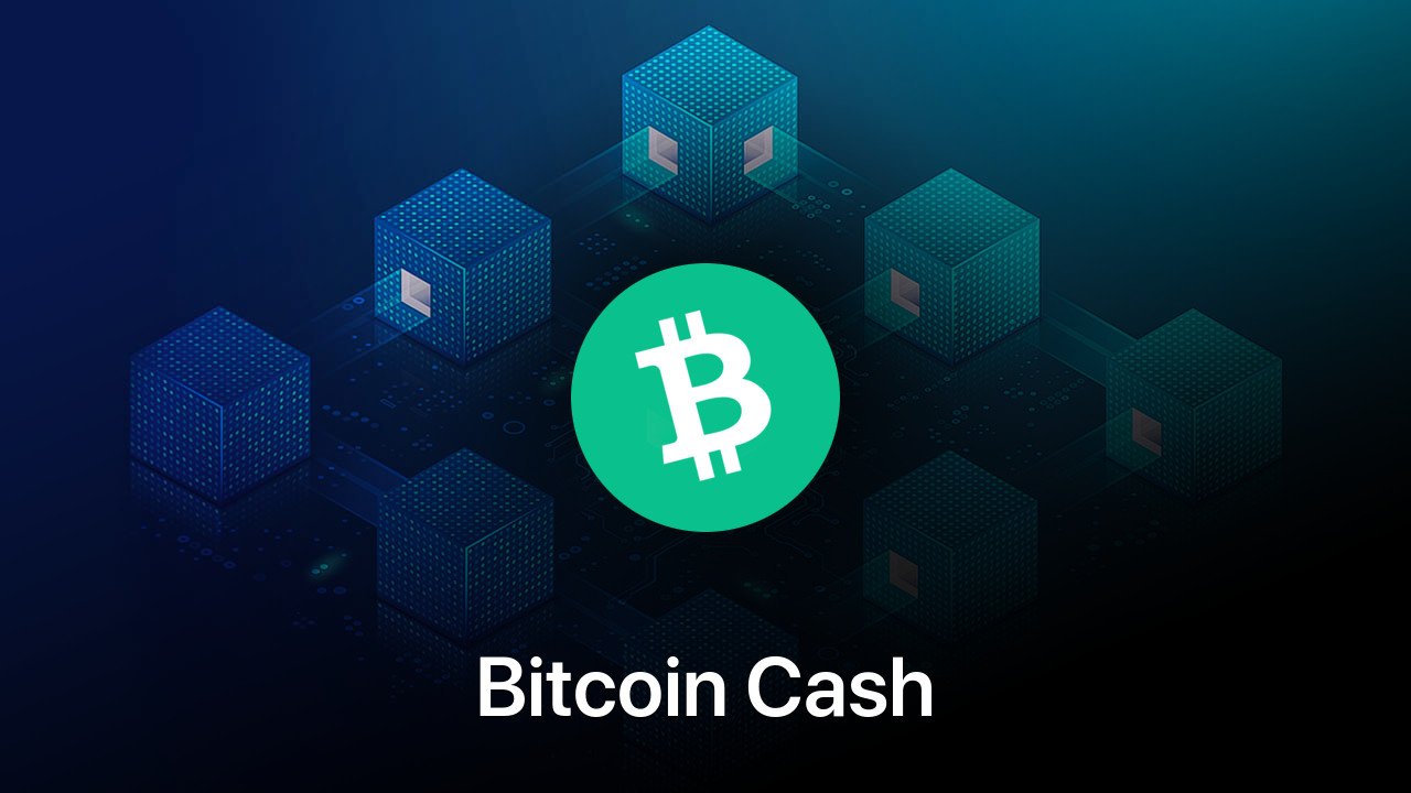 Where to buy Bitcoin Cash coin