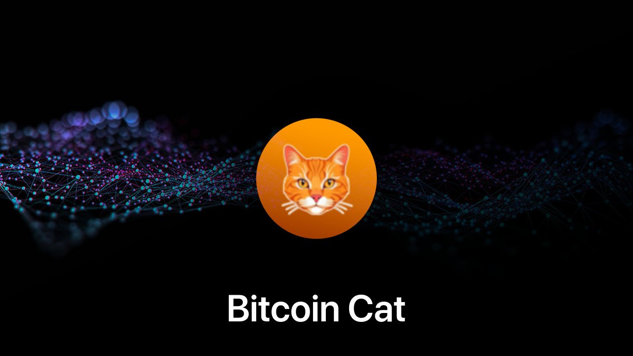 Where to buy Bitcoin Cat coin