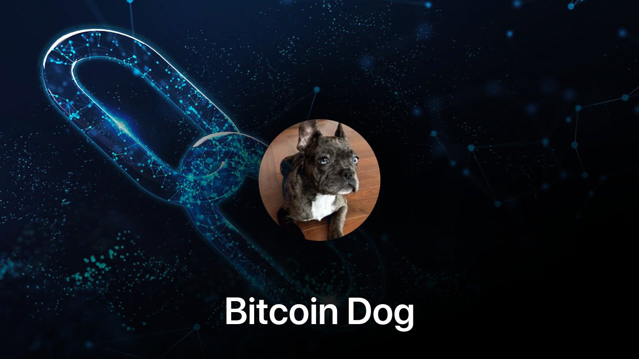 Where to buy Bitcoin Dog coin