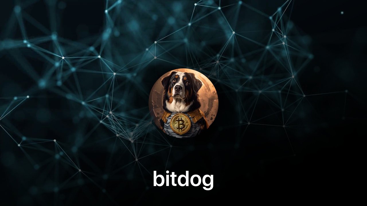 Where to buy bitdog coin