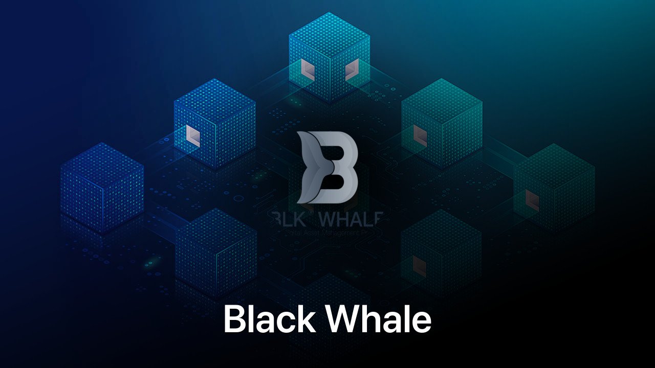Where to buy Black Whale coin