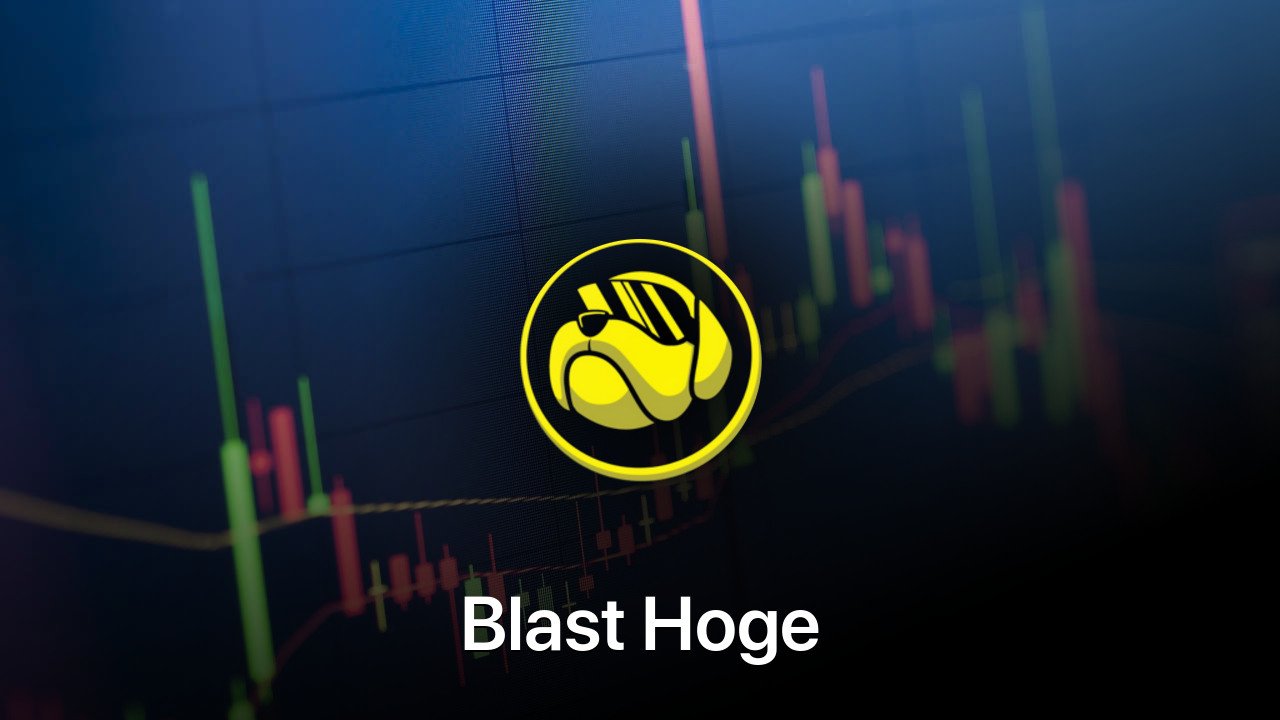 Where to buy Blast Hoge coin