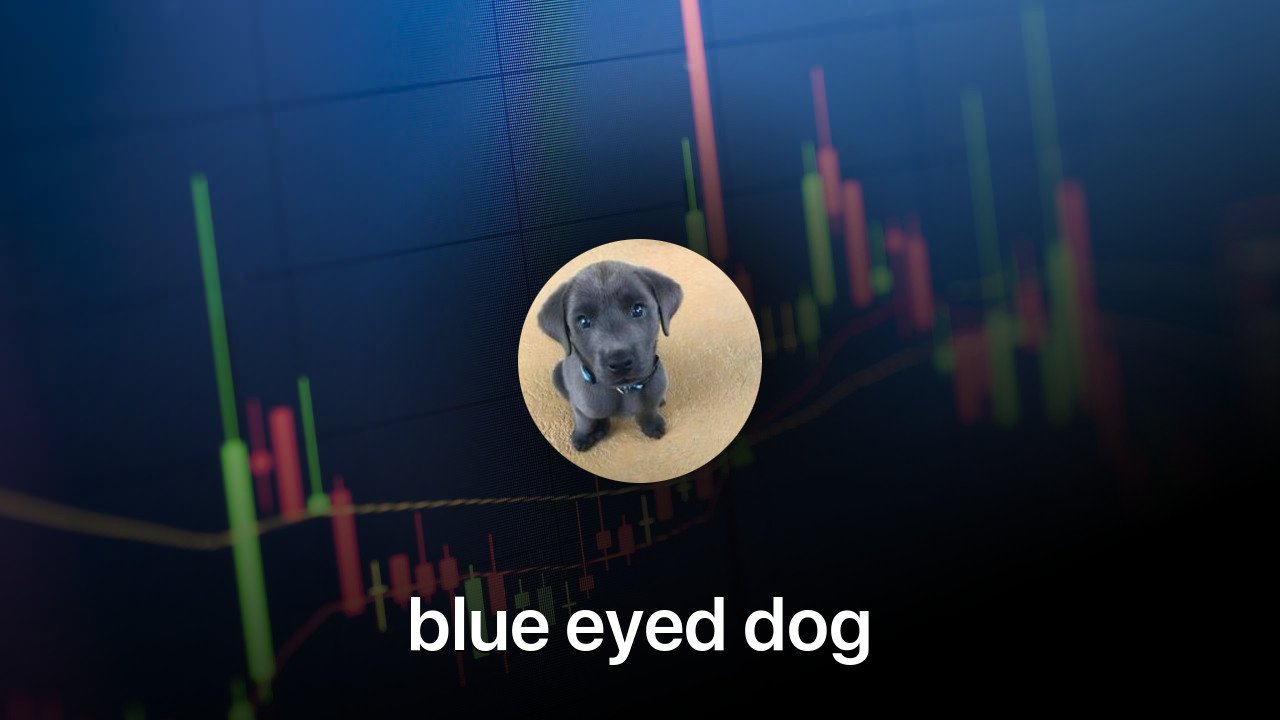 Where to buy blue eyed dog coin