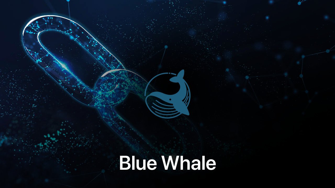 Where to buy Blue Whale coin