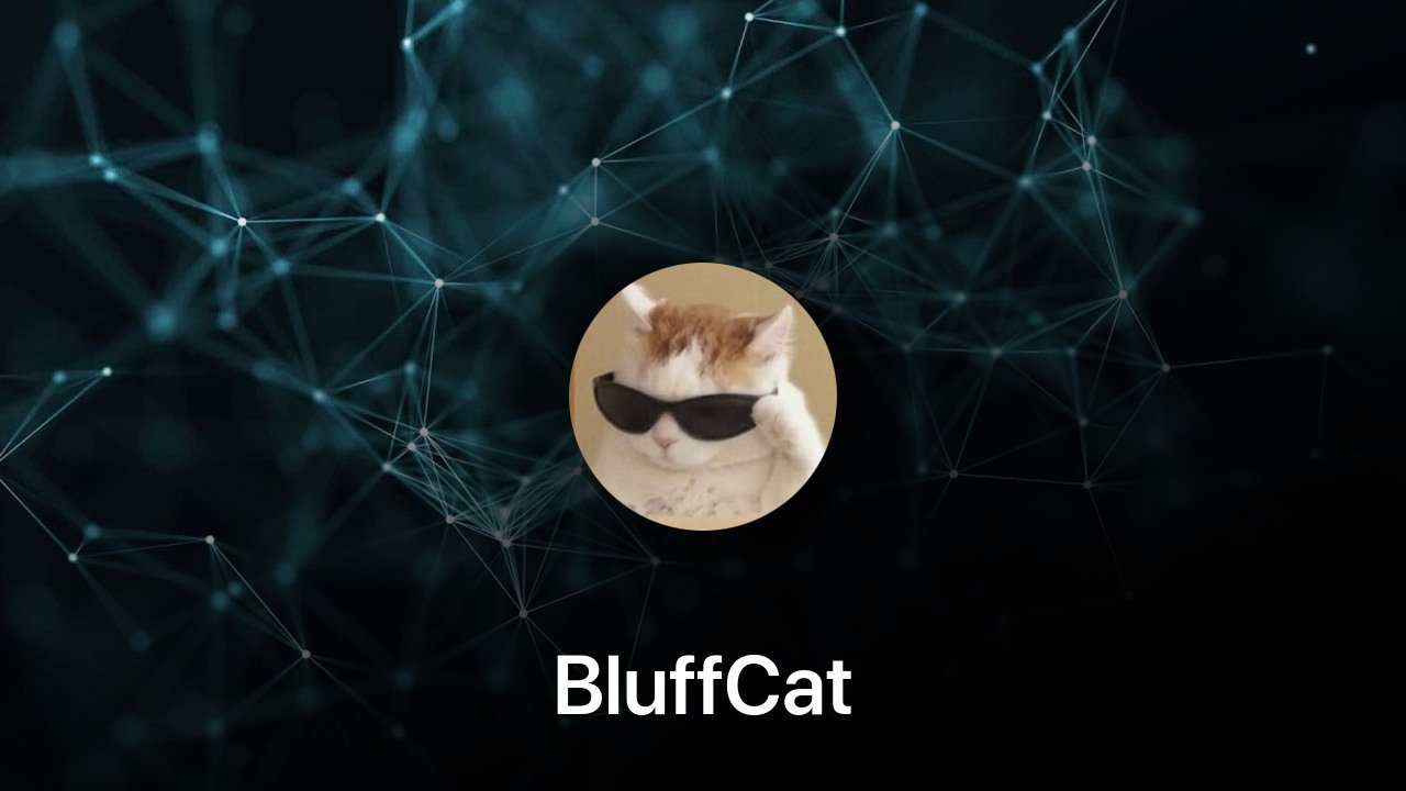 Where to buy BluffCat coin