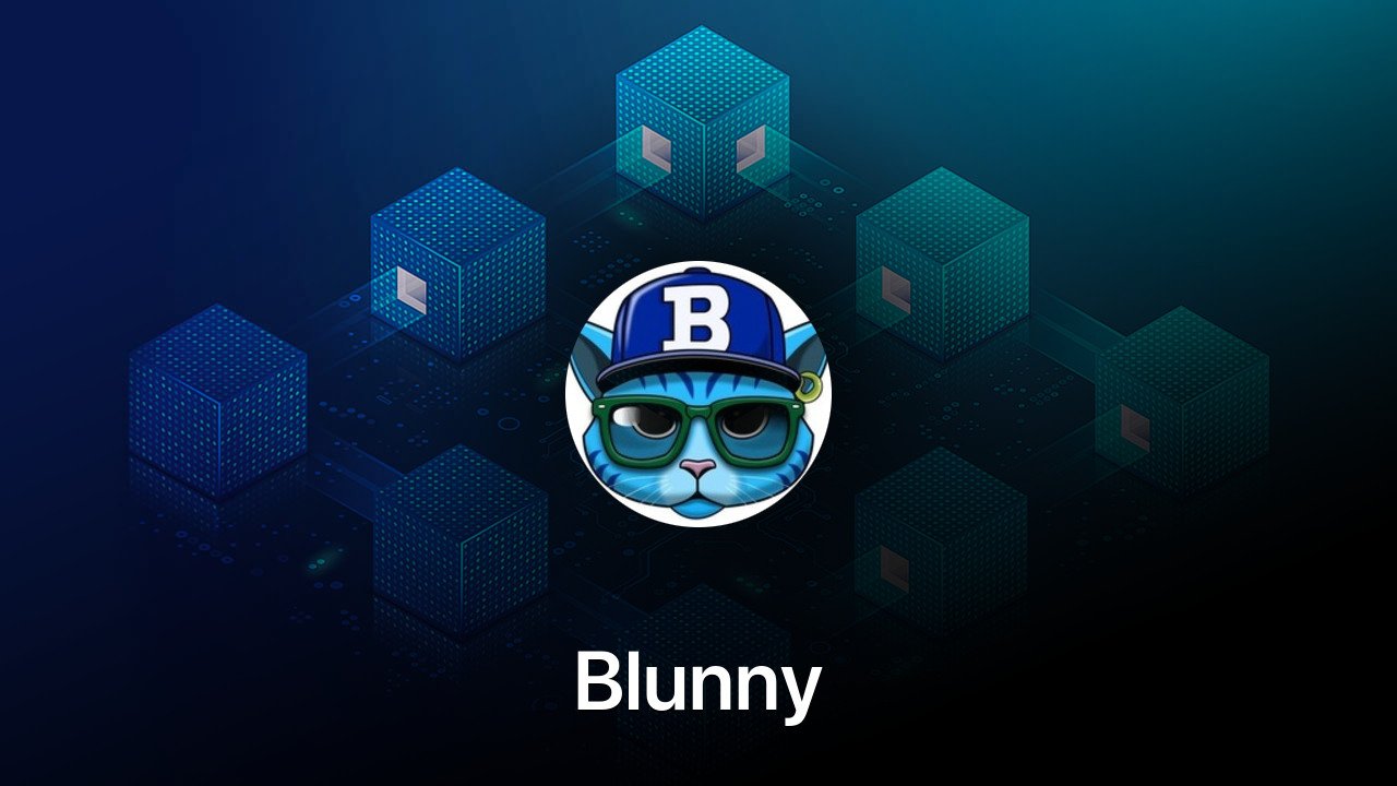 Where to buy Blunny coin