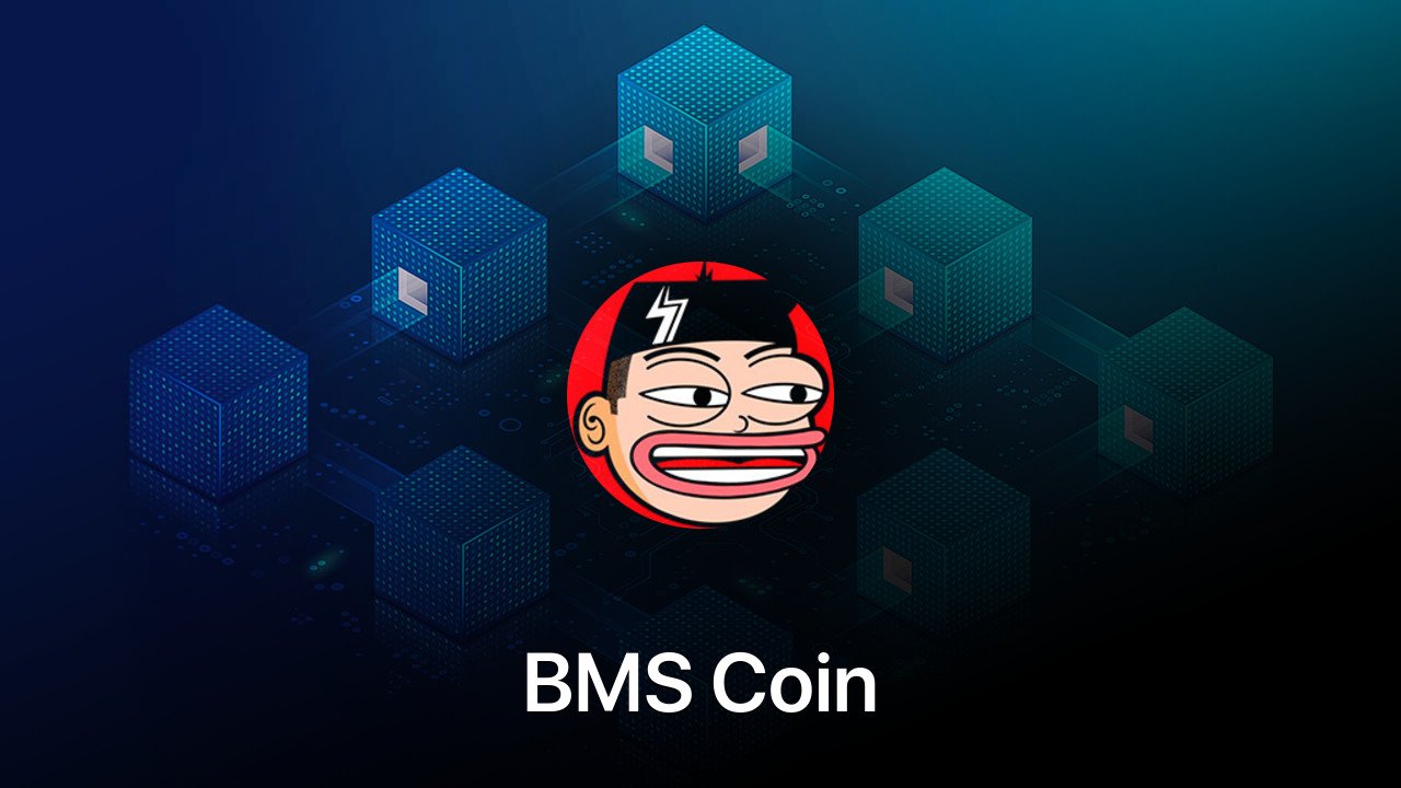 Where to buy BMS Coin coin