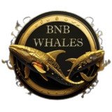 Where Buy BNB Whales