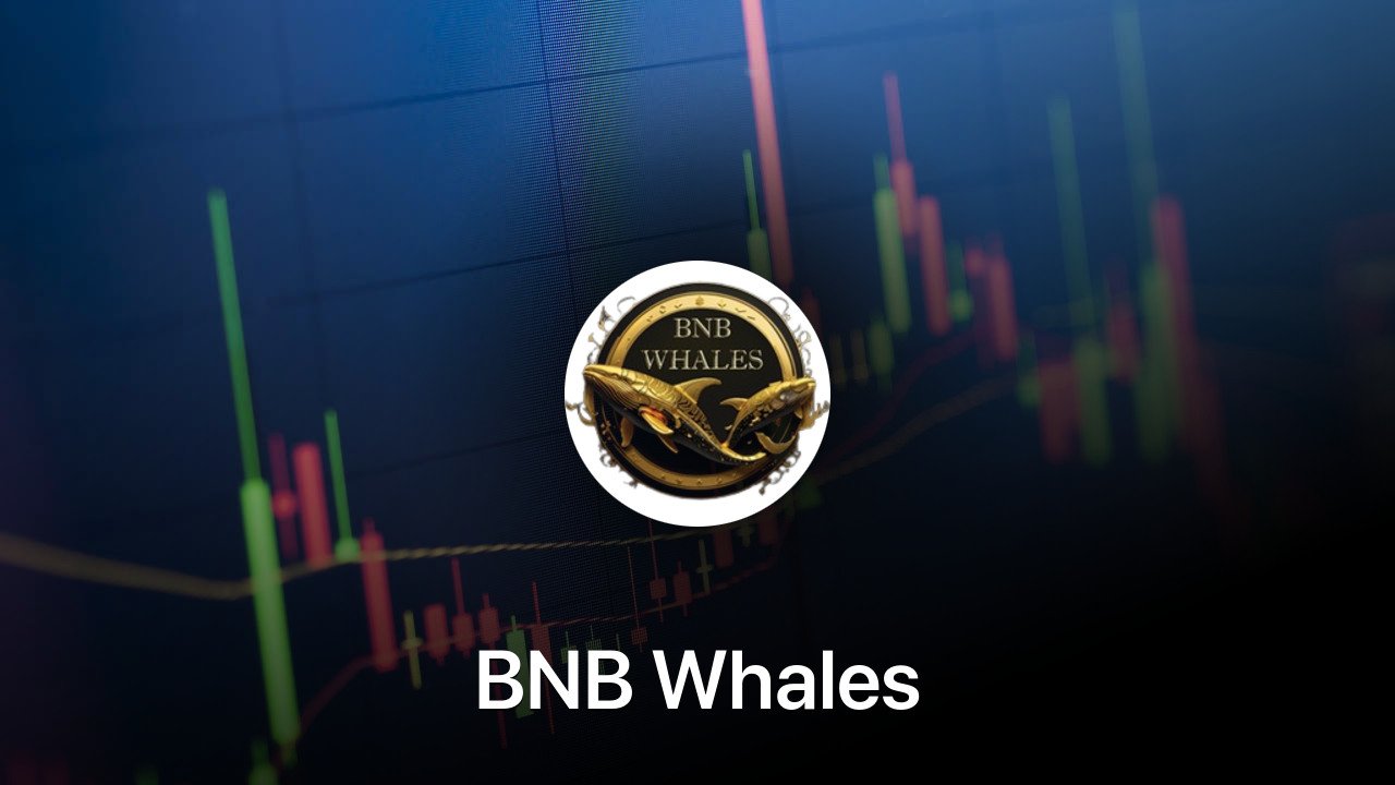 Where to buy BNB Whales coin