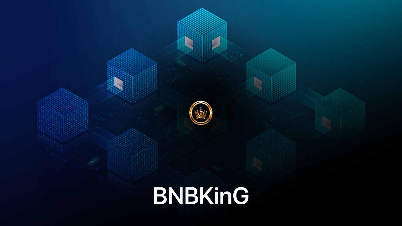 Where to buy BNBKinG coin