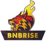 Where Buy BNBRise