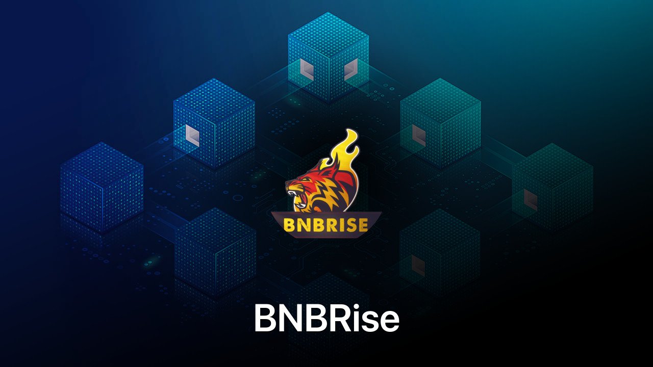 Where to buy BNBRise coin