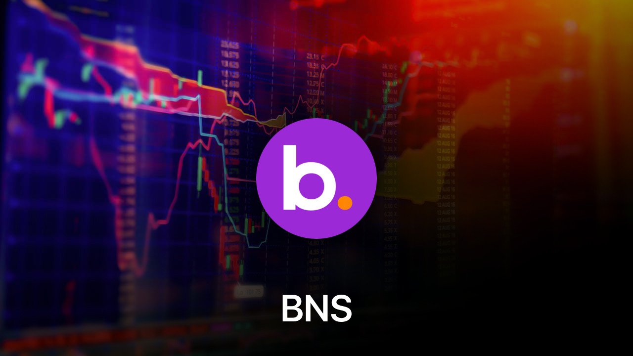 Where to buy BNS coin