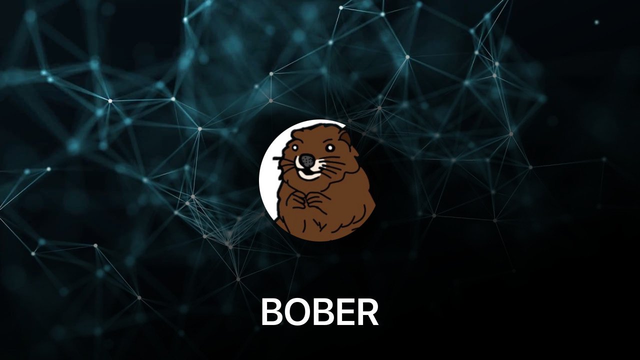 Where to buy BOBER coin