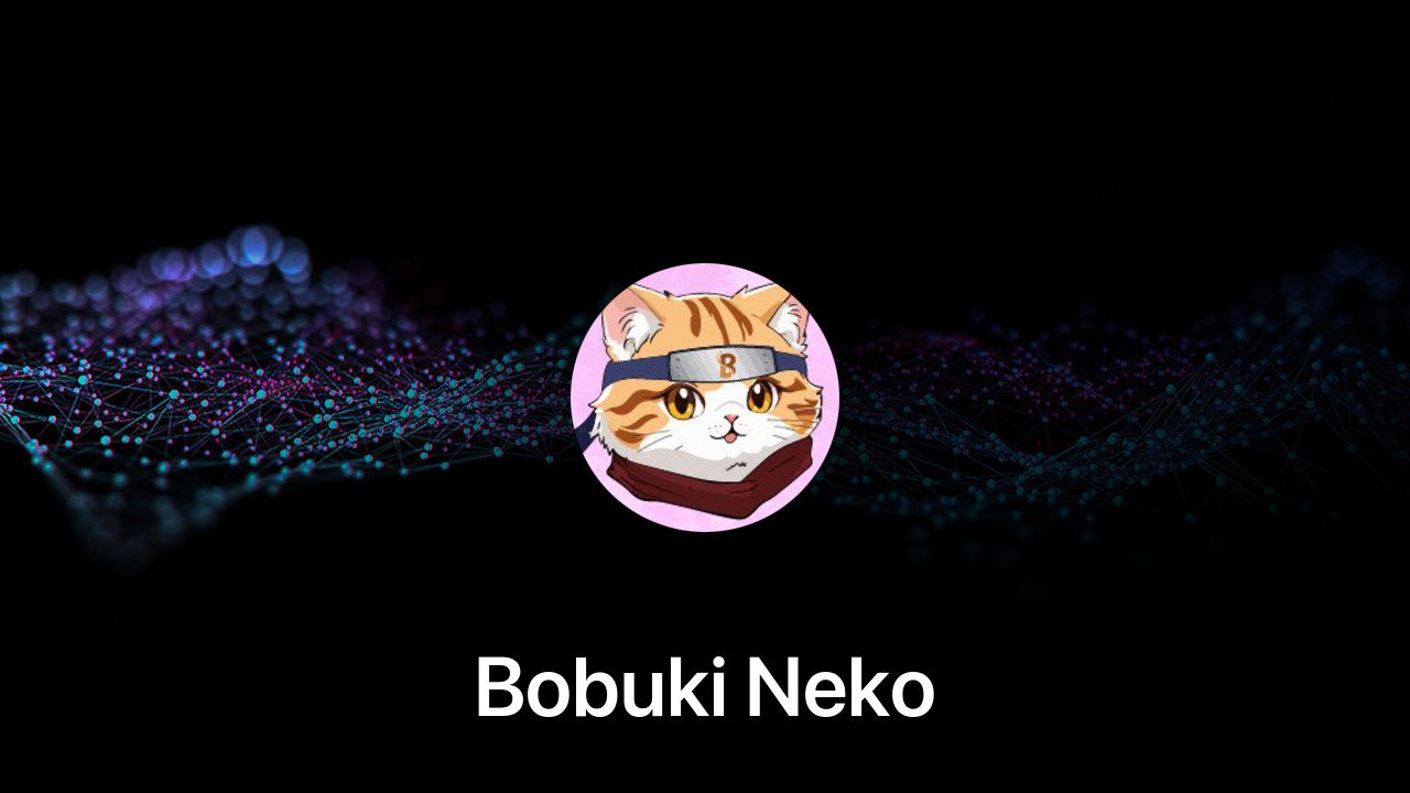 Where to buy Bobuki Neko coin