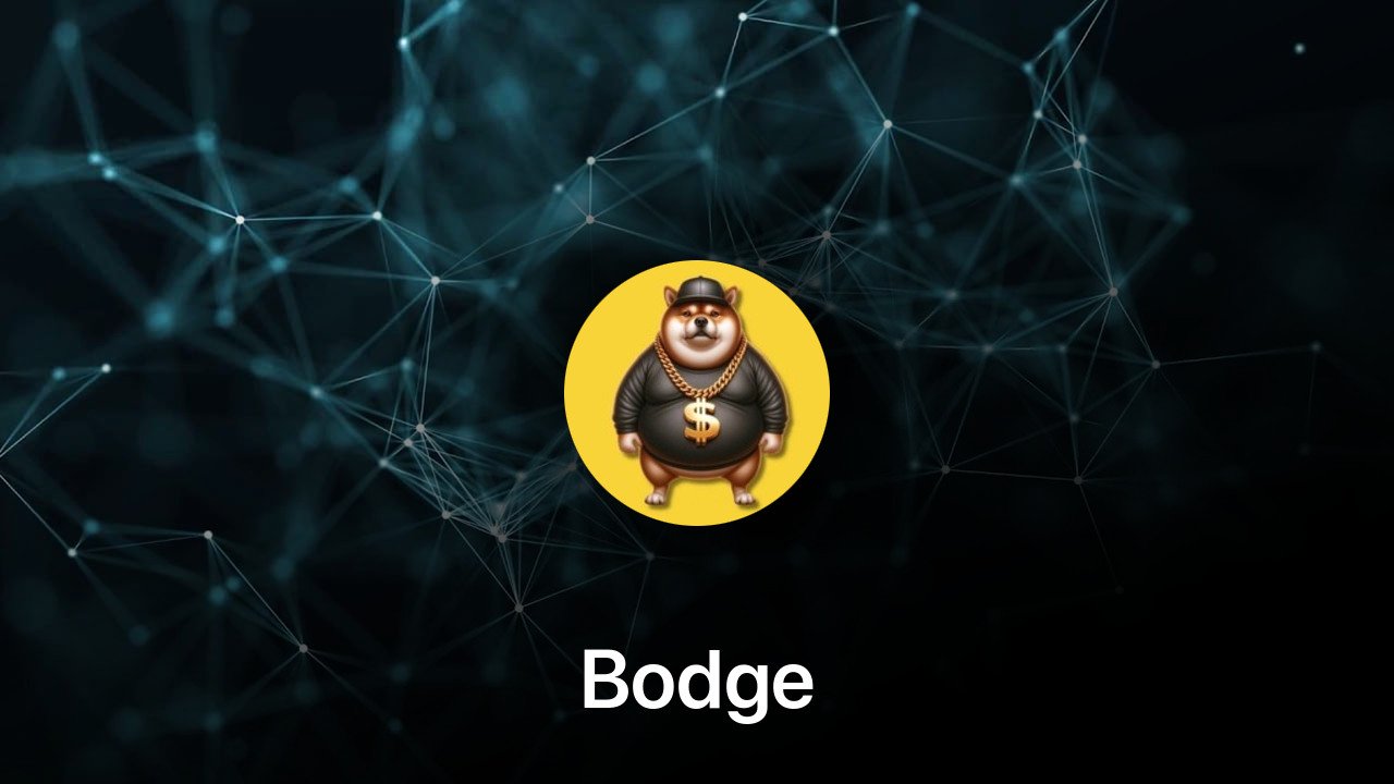 Where to buy Bodge coin