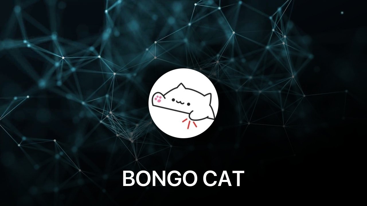 Where to buy BONGO CAT coin