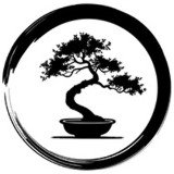 Where Buy Bonsai Token