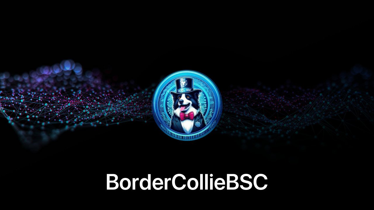 Where to buy BorderCollieBSC coin