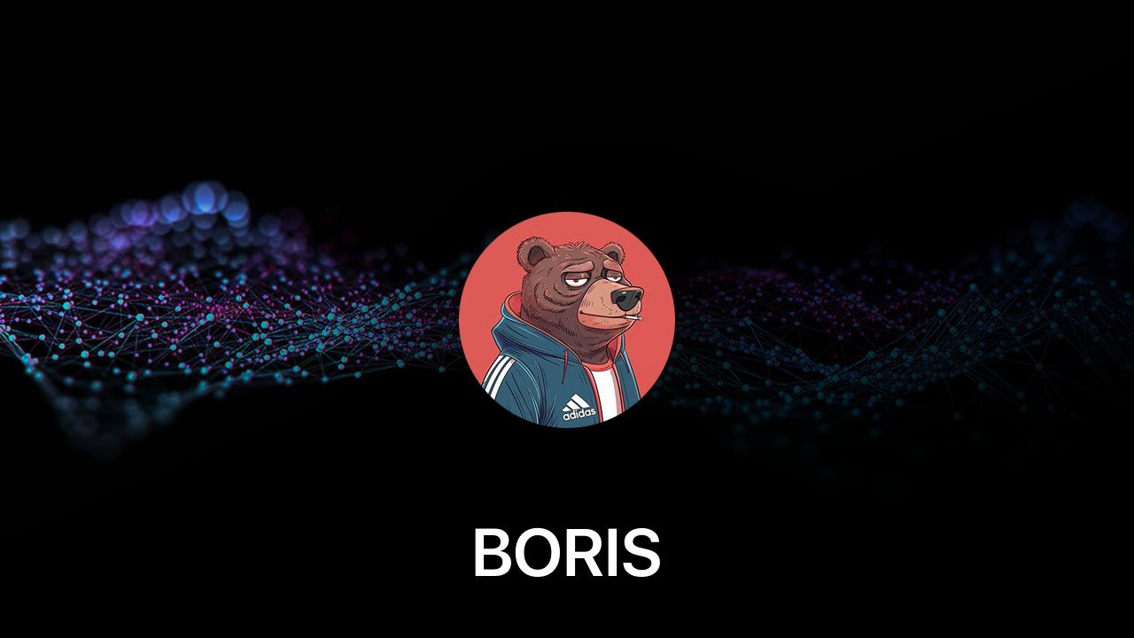 Where to buy BORIS coin