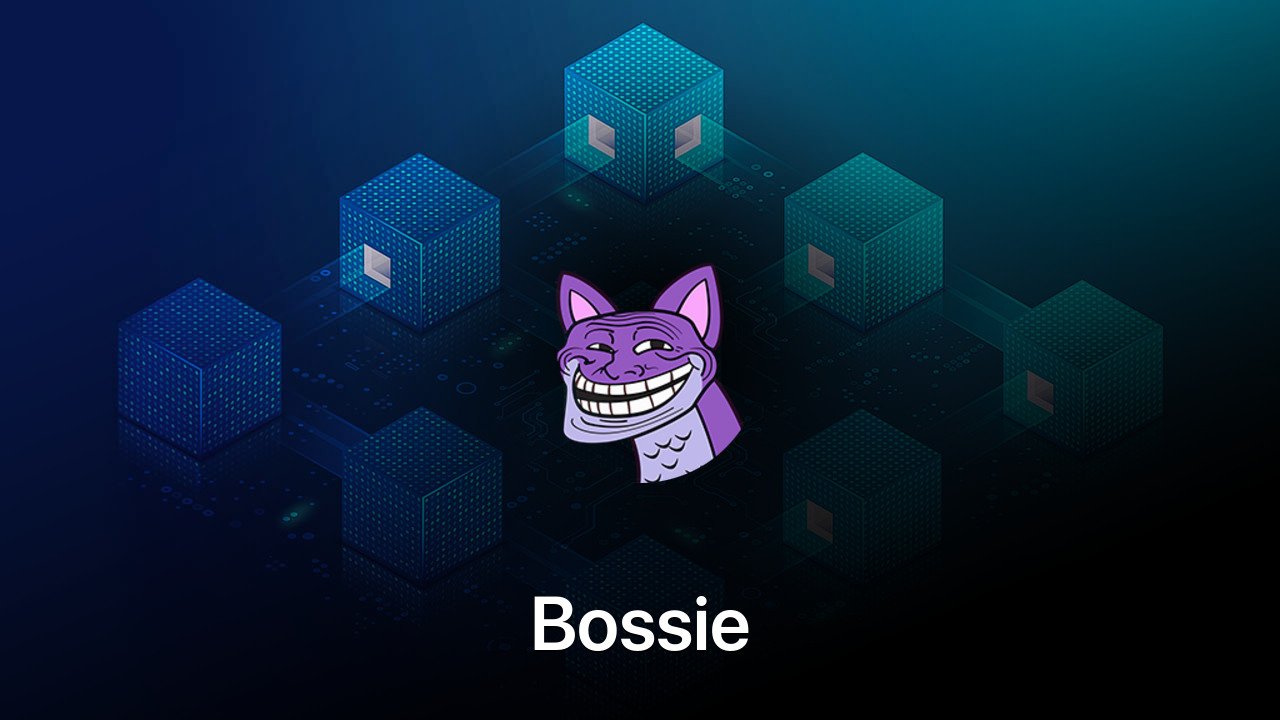 Where to buy Bossie coin