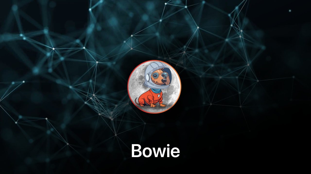 Where to buy Bowie coin