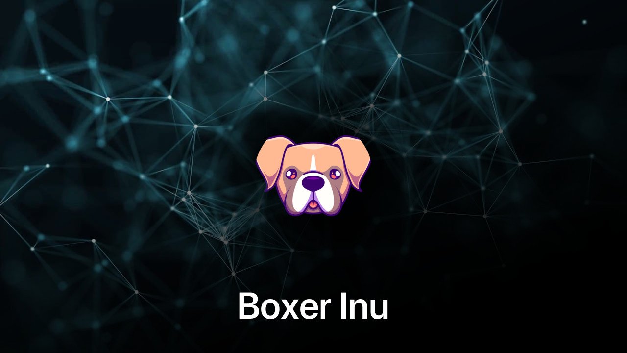Where to buy Boxer Inu coin