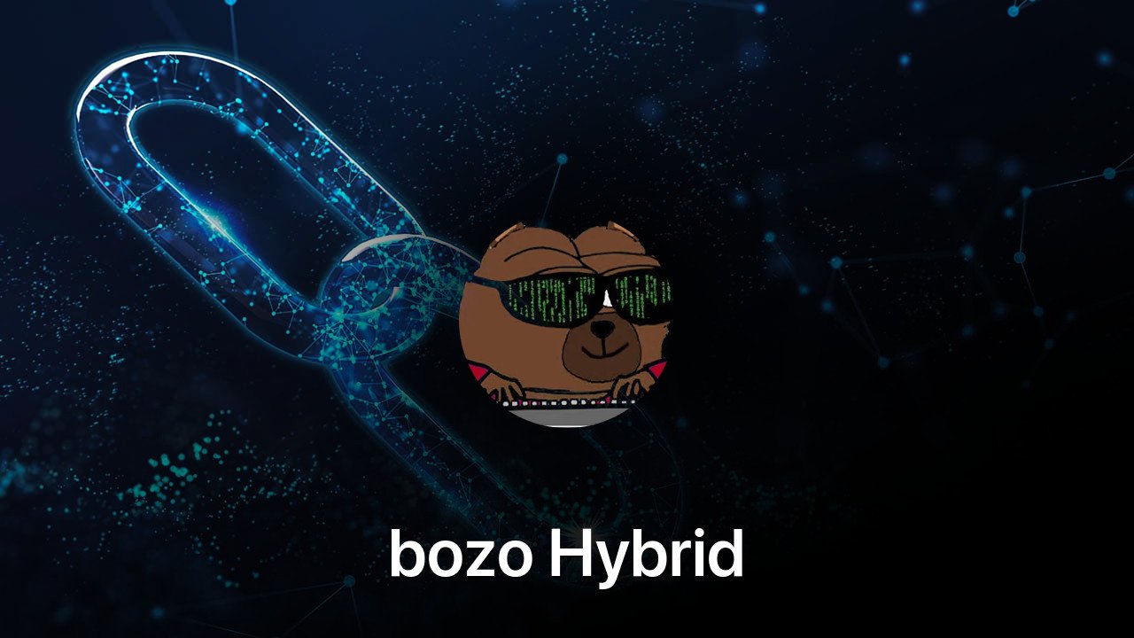 Where to buy bozo Hybrid coin