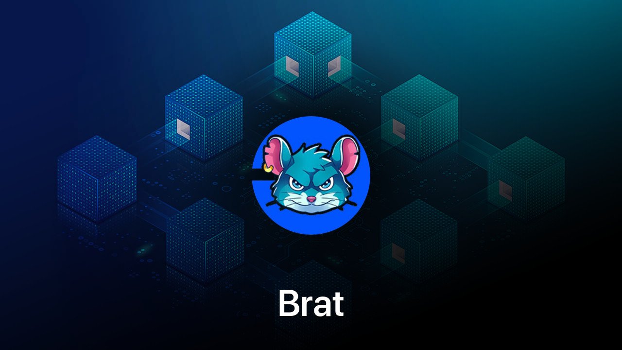 Where to buy Brat coin