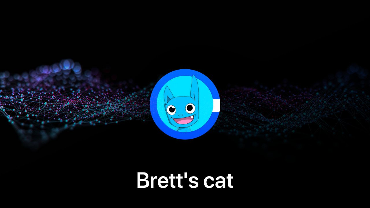 Where to buy Brett's cat coin