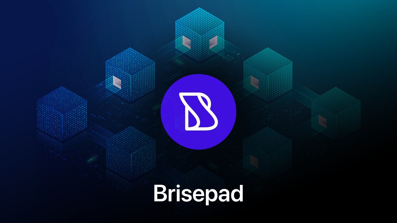 Where to buy Brisepad coin