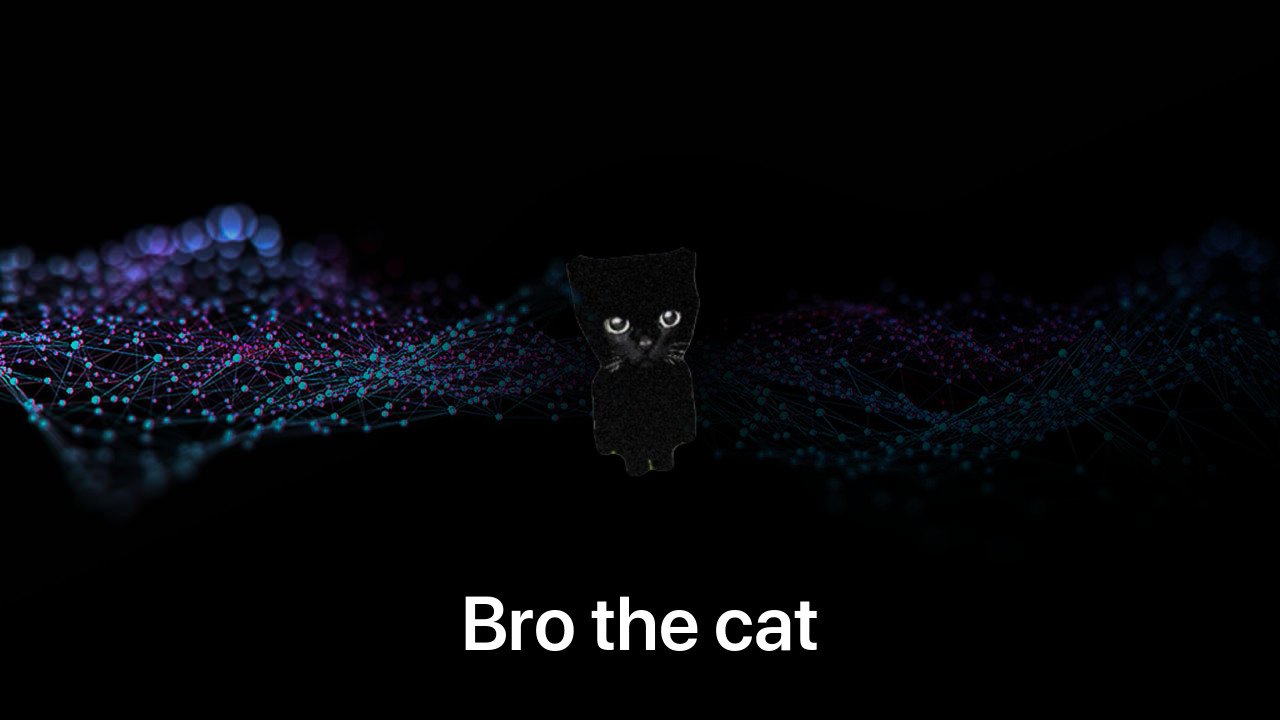 Where to buy Bro the cat coin