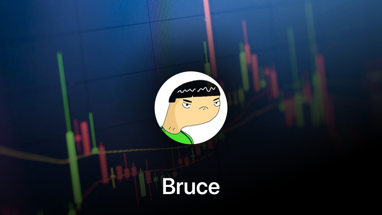 Where to buy Bruce coin