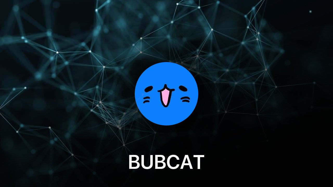 Where to buy BUBCAT coin