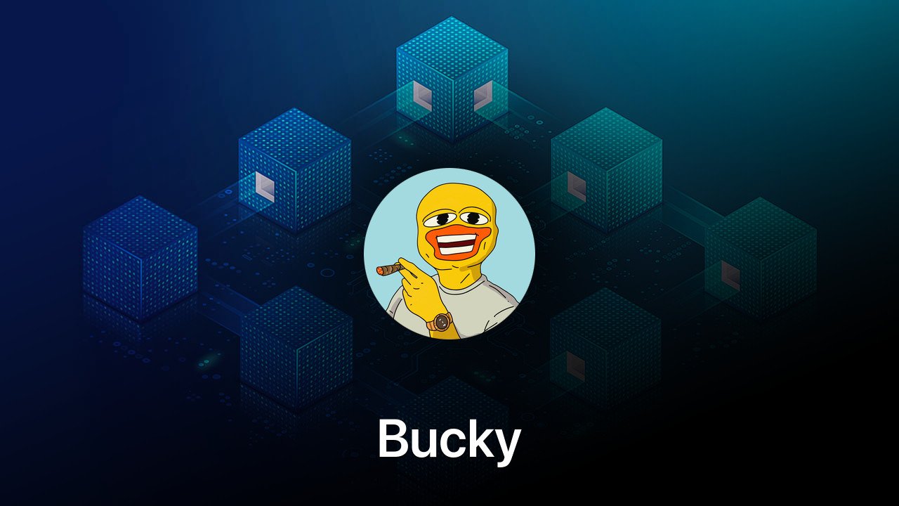 Where to buy Bucky coin