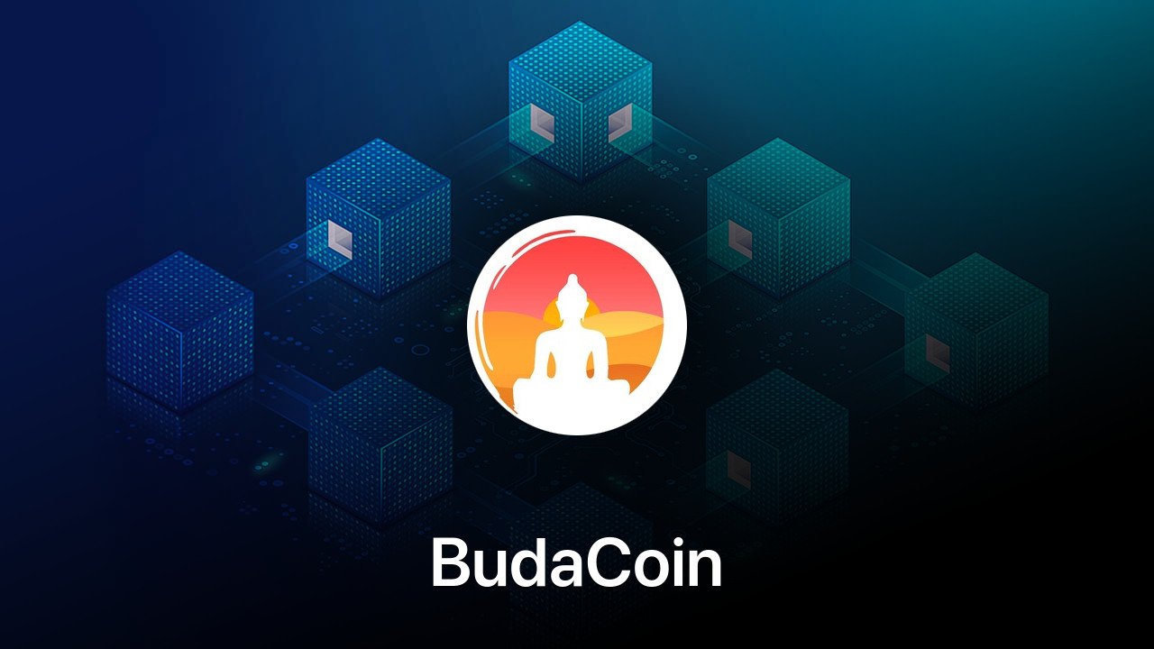 Where to buy BudaCoin coin