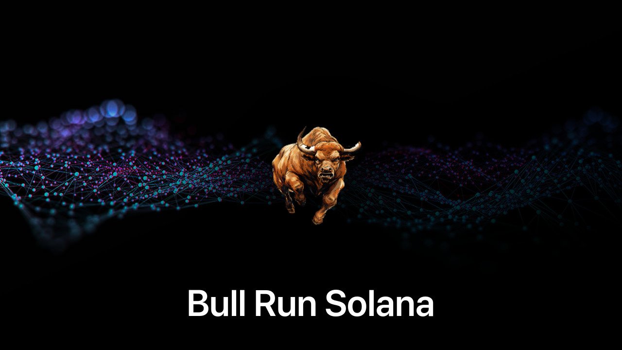 Where to buy Bull Run Solana coin