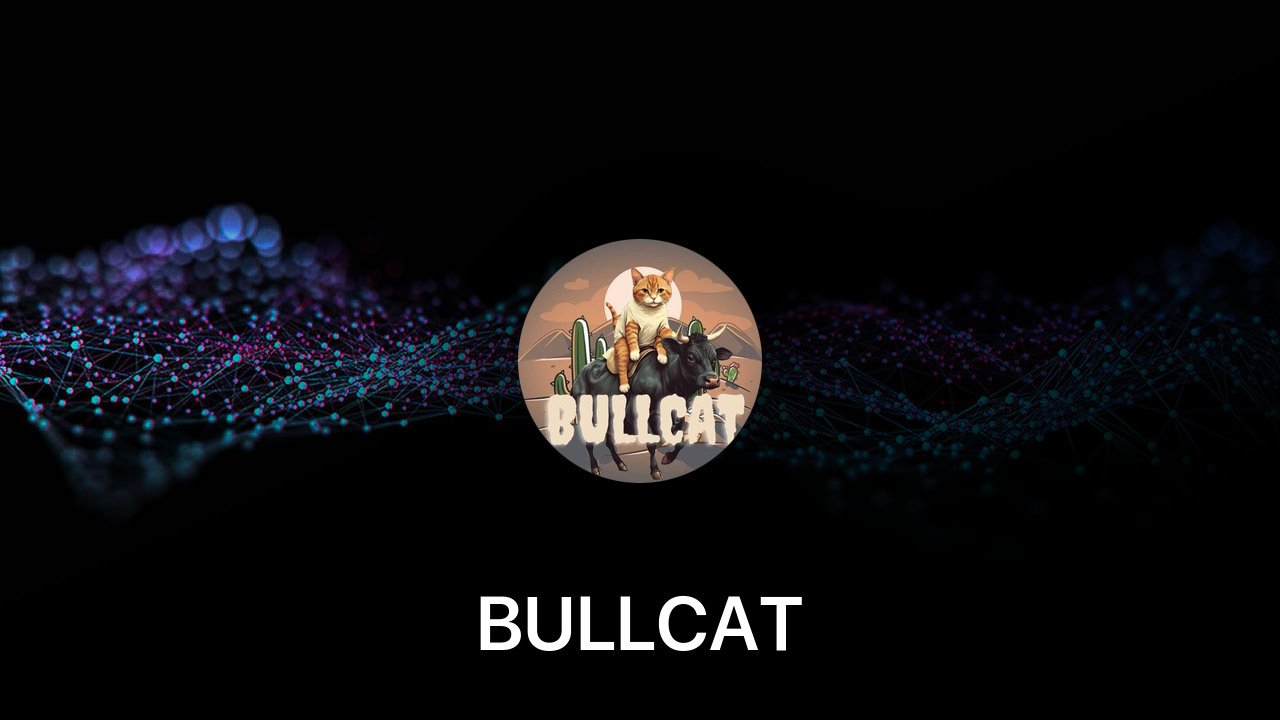 Where to buy BULLCAT coin