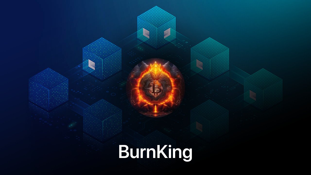 Where to buy BurnKing coin