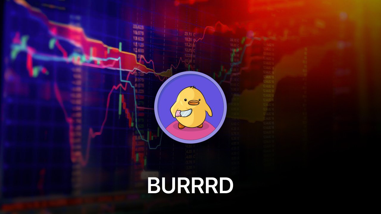 Where to buy BURRRD coin