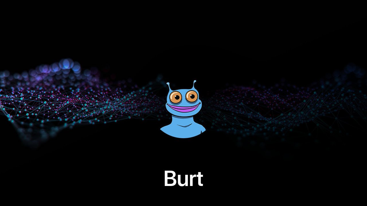 Where to buy Burt coin